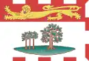 Drapeau de Comté de Kings