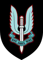 Image illustrative de l’article Special Air Service