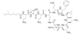 Image illustrative de l’article Polymyxine B