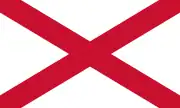 Image illustrative de l’article Légion Saint-Patrick