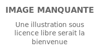 Image illustrative de l’article Barbara Morel
