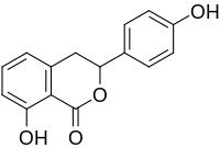 Image illustrative de l’article Hydrangénol