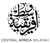 Image illustrative de l’article État islamique en Afrique centrale