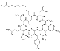 Image illustrative de l’article Mycosubtiline