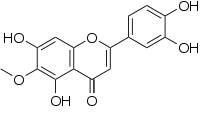 Image illustrative de l’article Népétine