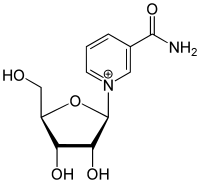 Image illustrative de l’article N-Ribosylnicotinamide