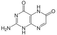 Image illustrative de l’article Xanthoptérine