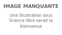 Image illustrative de l’article Ruphin Kayembe