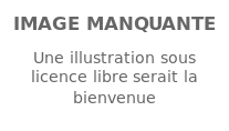 Image illustrative de l’article Vincent Mendy
