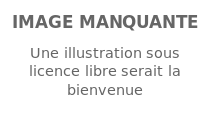 Image illustrative de l’article Carole Rousseau