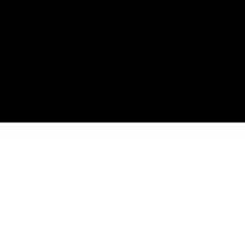 Les couleurs cantonales sont le noir et le blancUsage des drapeaux, étendards et fanions (Règlement sur les drapeaux) - Règlement 51.340 f, Armée suisse, p.&nbsp;61, consulté le 26 juillet 2017