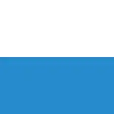 Les couleurs cantonales sont le blanc et le bleuUsage des drapeaux,étendards et fanions (Règlement sur les drapeaux) - Règlement 51.340 f, Armée suisse, p. 54, consulté le 26 juillet 2017