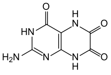 Image illustrative de l’article Leucoptérine