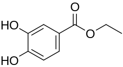 Image illustrative de l’article Protocatéchuate d'éthyle