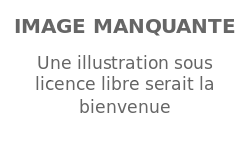 Image illustrative de l’article Karima Charni