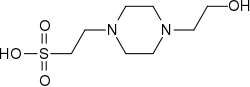 Image illustrative de l’article HEPES