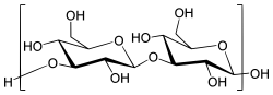 Image illustrative de l’article Paramylon