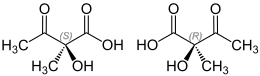 Image illustrative de l’article Acide acétolactique