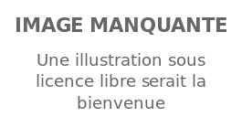 Image illustrative de l’article Dylan Bennett