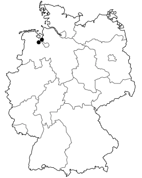 Image illustrative de l’article Bundesstraße 211