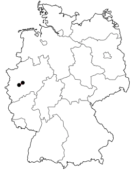 Image illustrative de l’article Bundesstraße 228