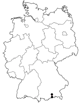 Image illustrative de l’article Bundesstraße 318