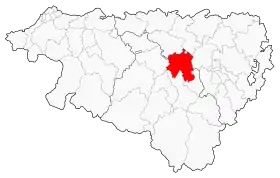 Canton de Monein