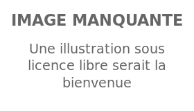 Image illustrative de l’article Rayan Rupert