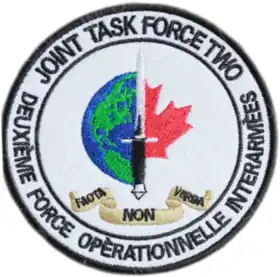 Image illustrative de l’article Deuxième Force opérationnelle interarmées