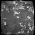 1950.