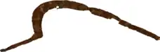 Faucille moyenâgeuse