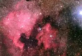 NGC 7000 en lumière visible par Adam Block (Observatoire du mont Lemmon/Université de l'Arizona).