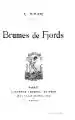 Brumes de fjords.